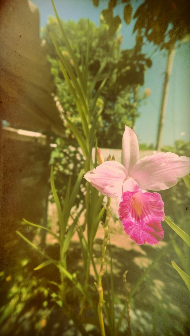 A sunny day!