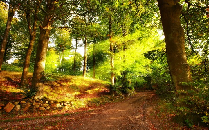 Nature