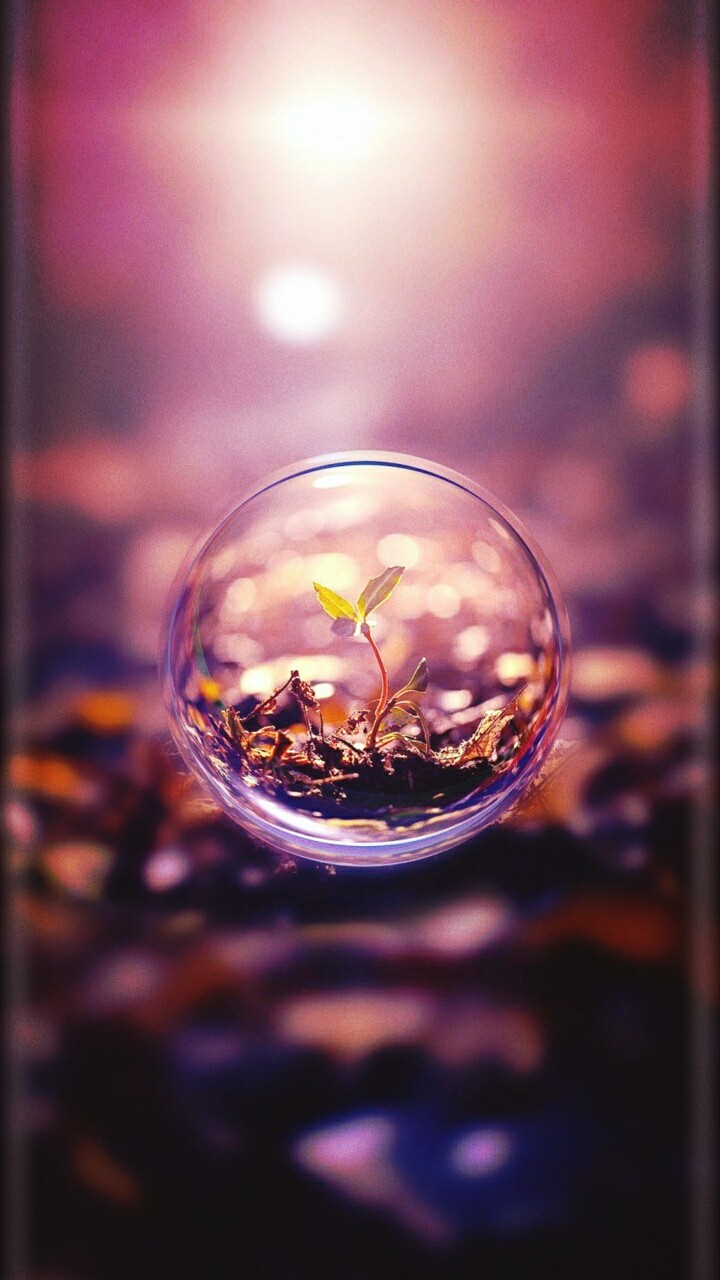 Nature of bubble