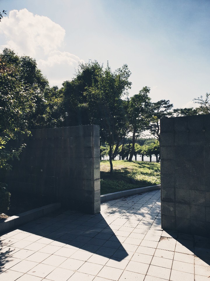 wall