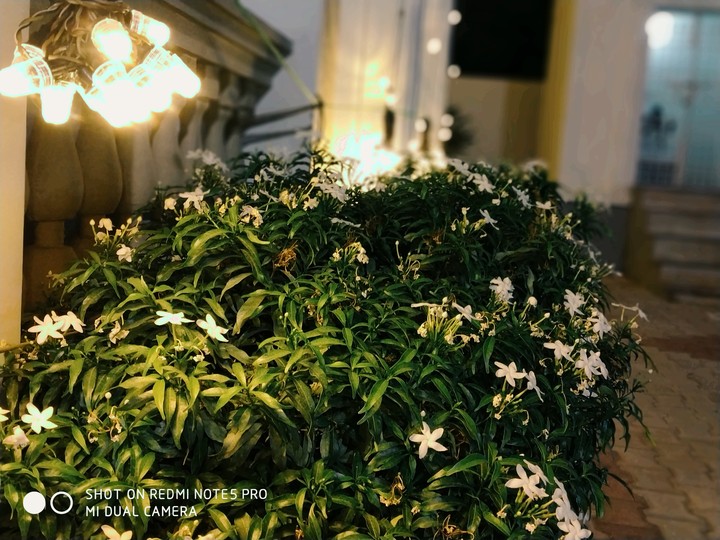 Lighting photography