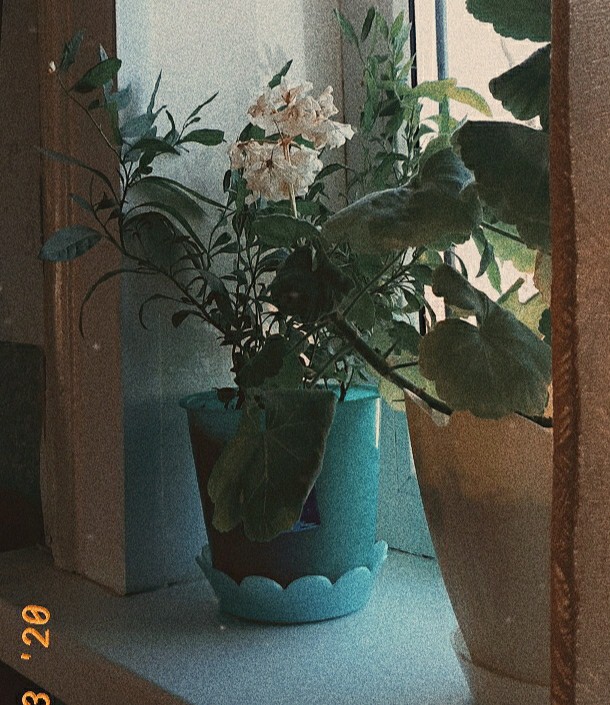 vintage