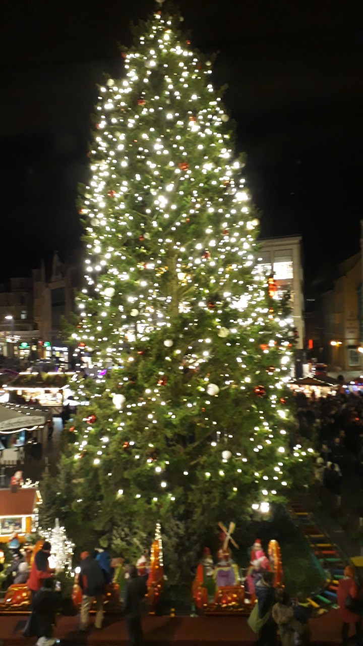 Halles Weihnachtsbaum