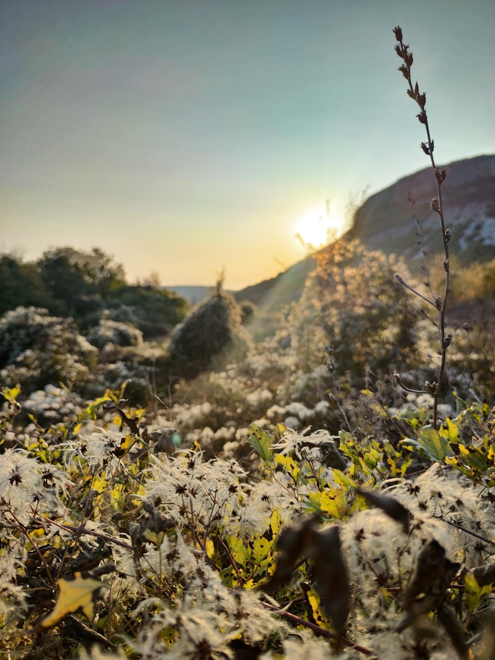 The light of the sun
