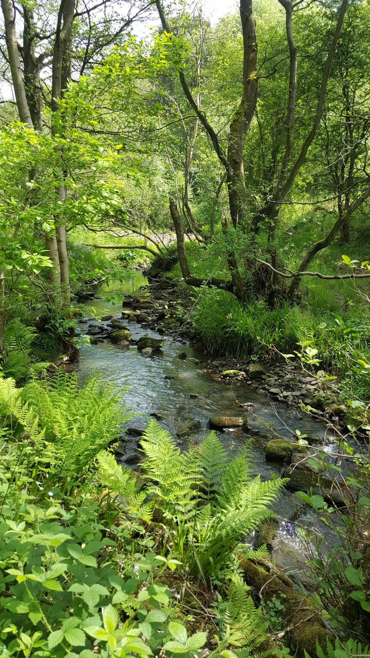 River