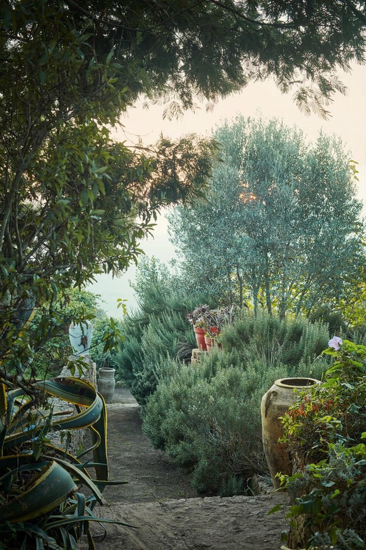 Jardín