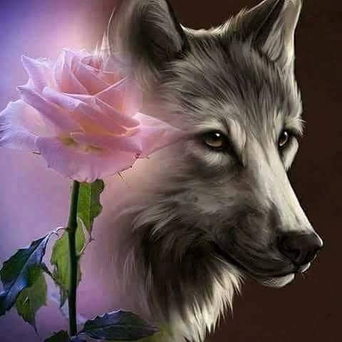 loba