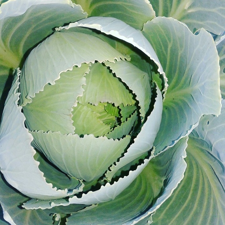 Who know what is it? ))