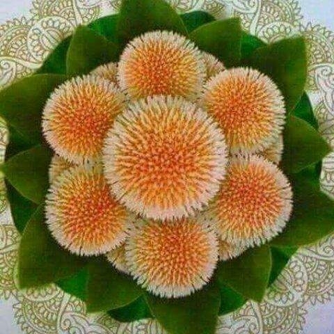 beautyfull flower of Banglades