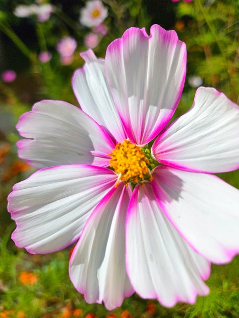 So Many Types of Beauty in Nature