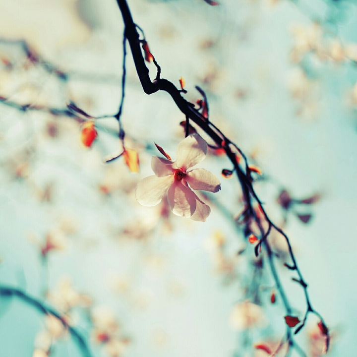 Time for spring :)