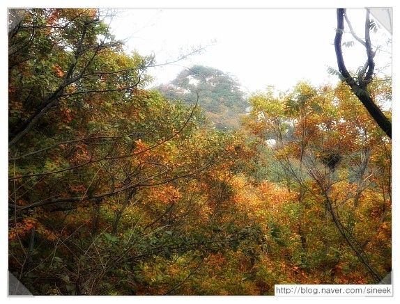 가을산