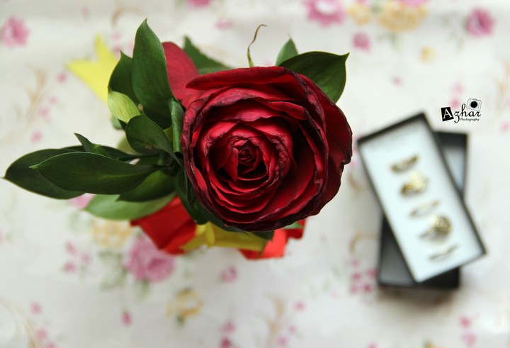 canonRed Flower