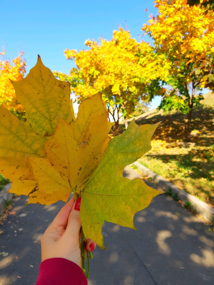 Autumn in the city