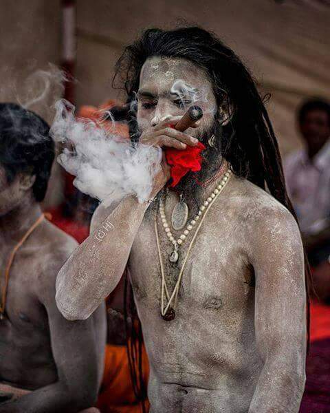 aghori