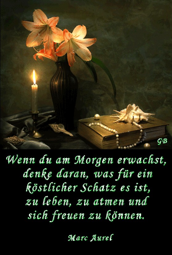 Guten Morgen