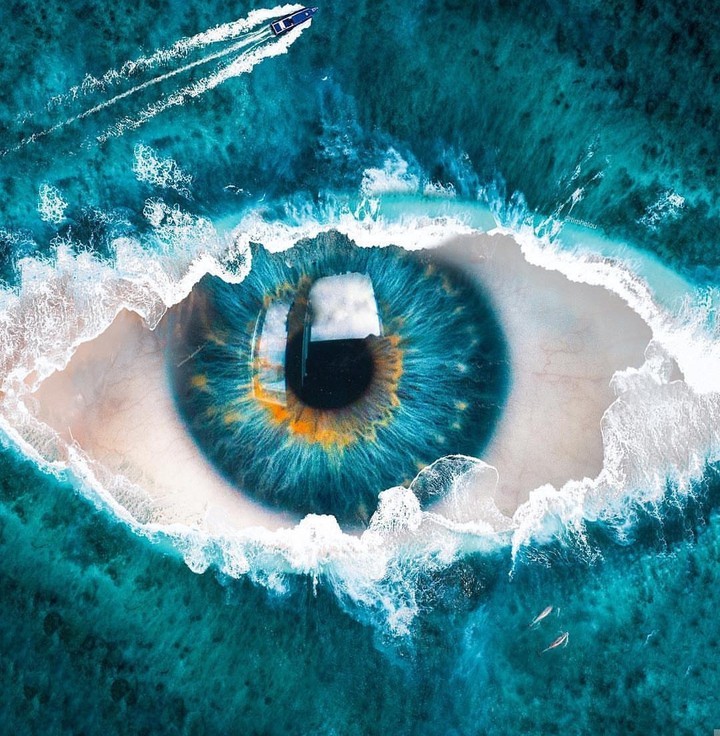 art