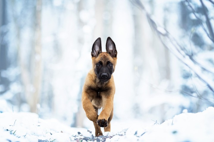 very cute...