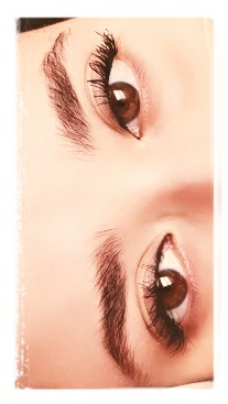 the eye