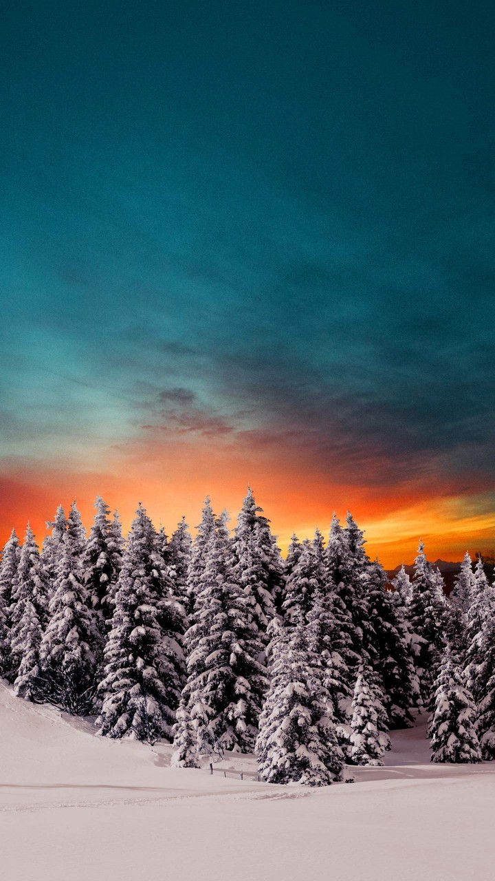winter