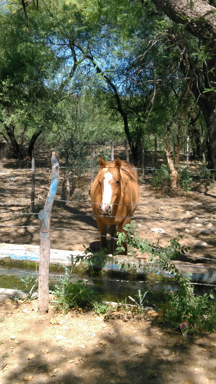 Sonora, Mexico