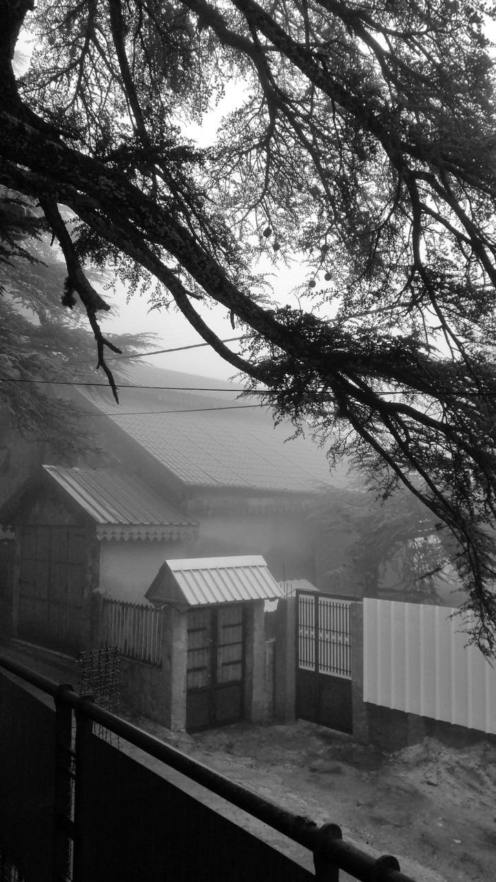 winter