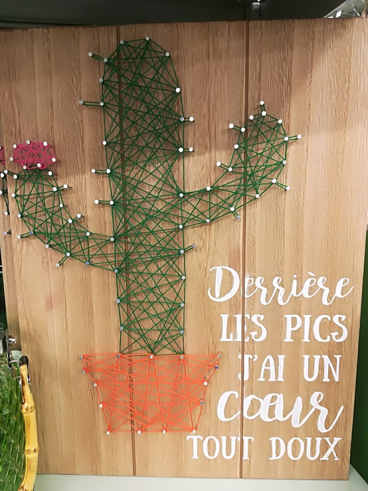 Cactus