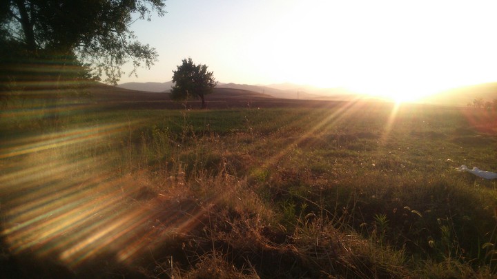 sun