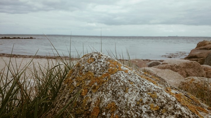 rock