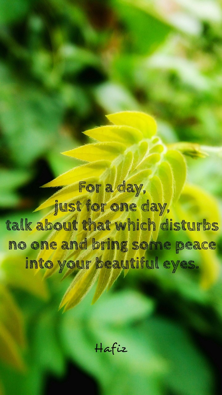 Zen quotes