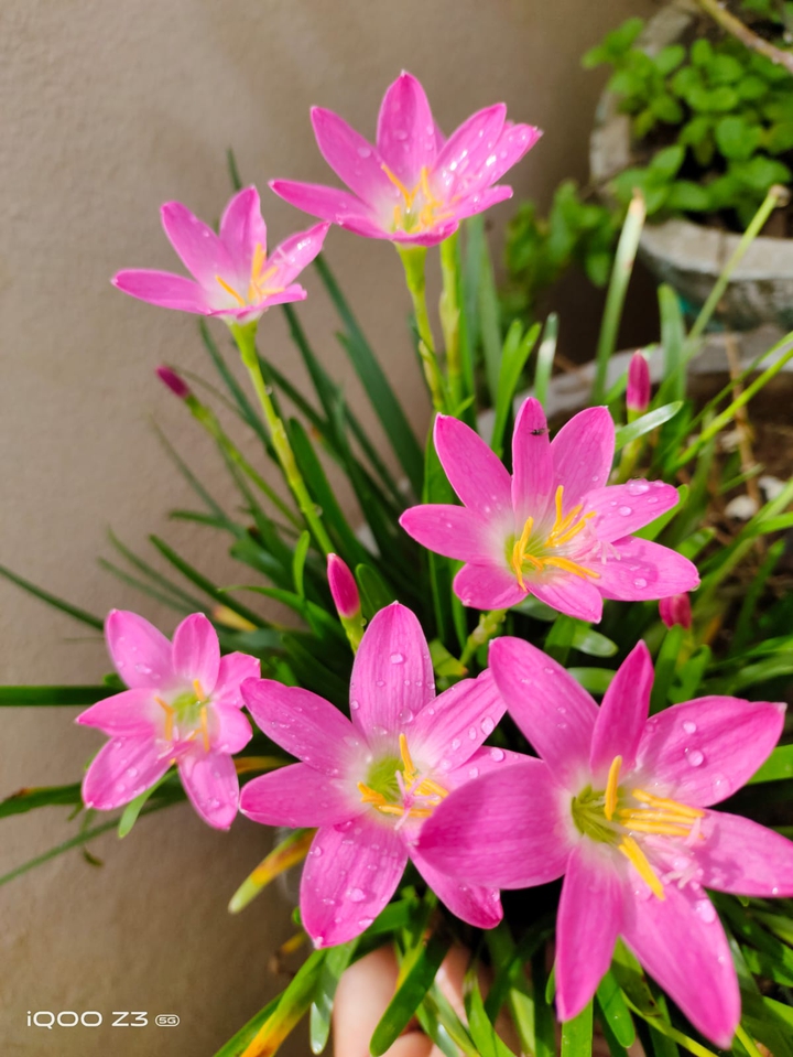 beautiful nature