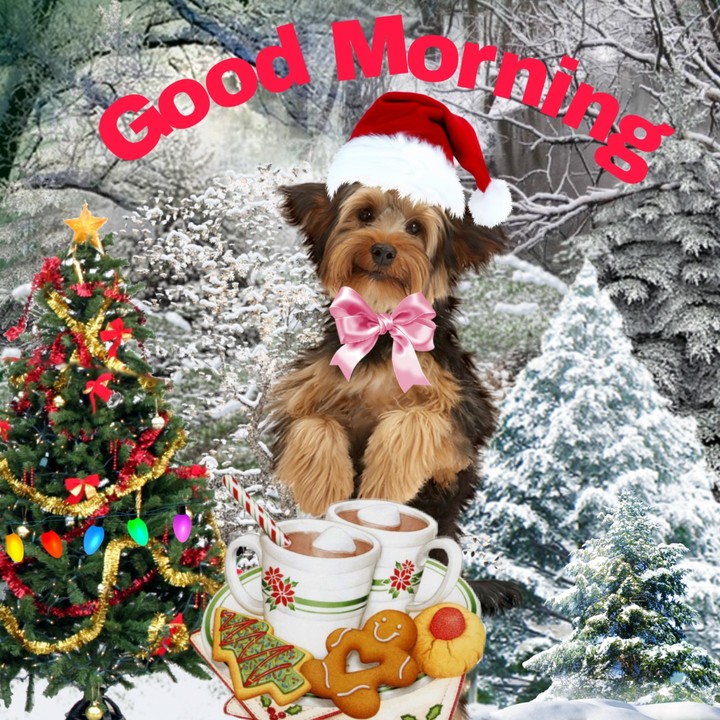 good Morning