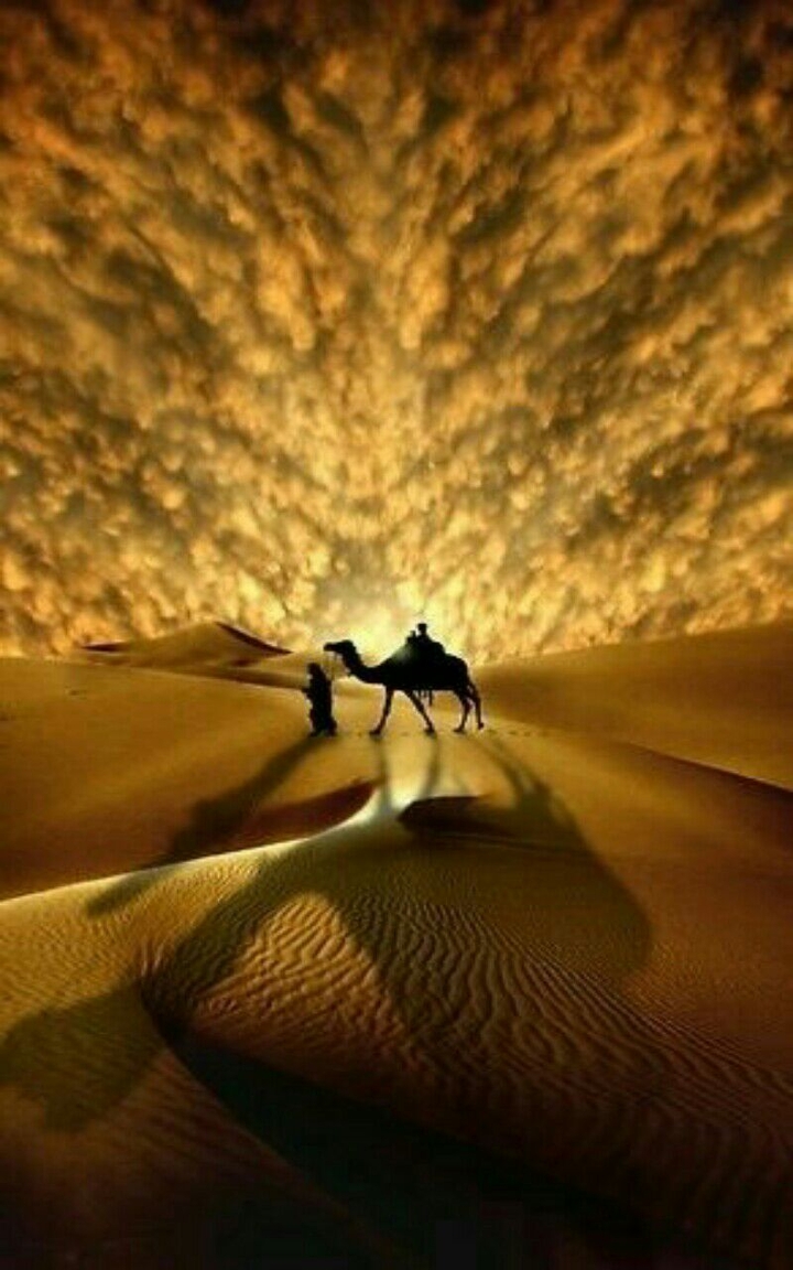 Sahara Desert