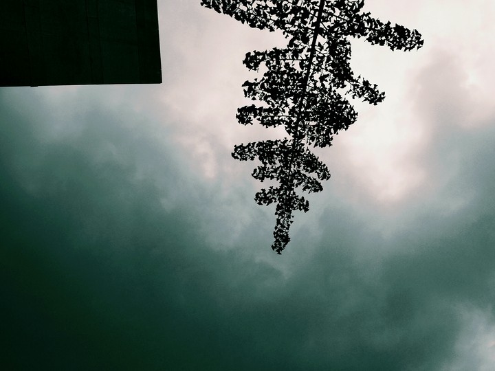 Assemblage of Thoughts