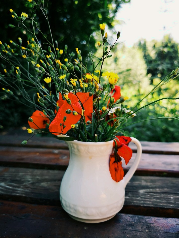 flowerpott