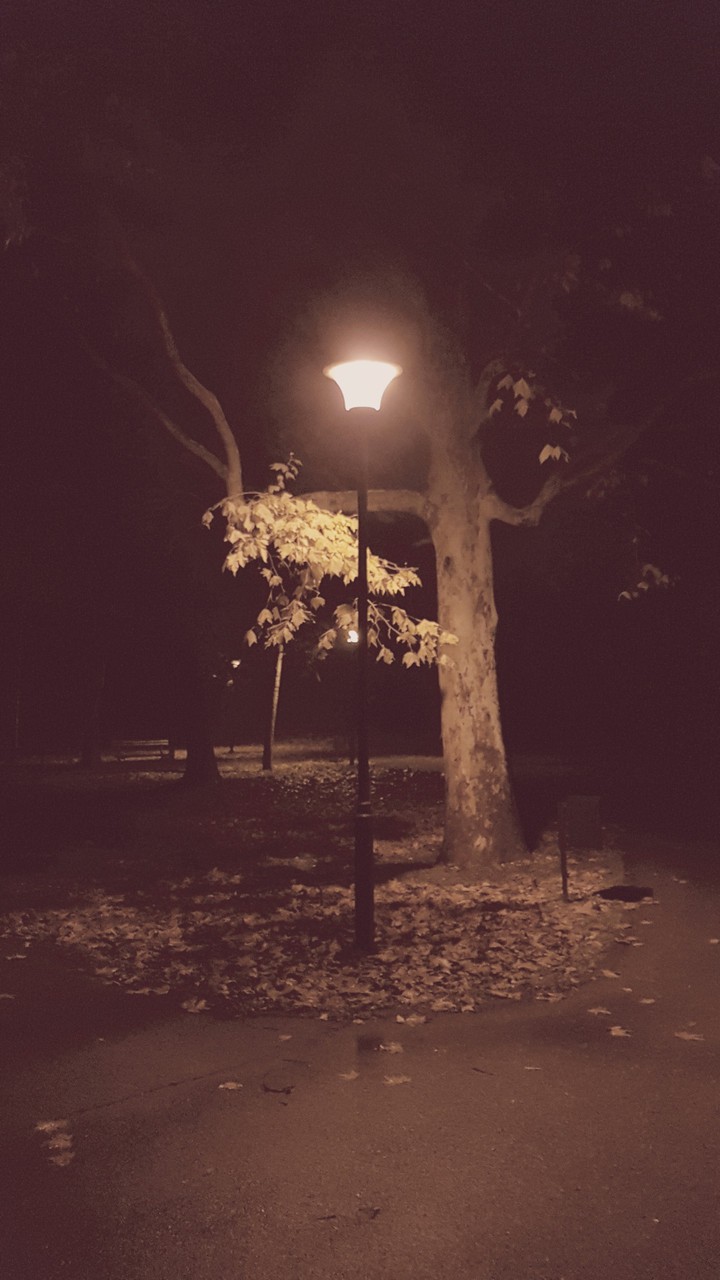 light