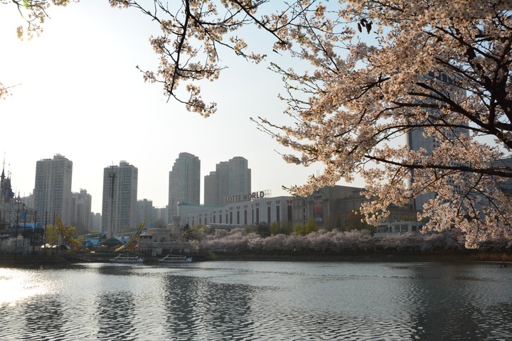 풍경이미지