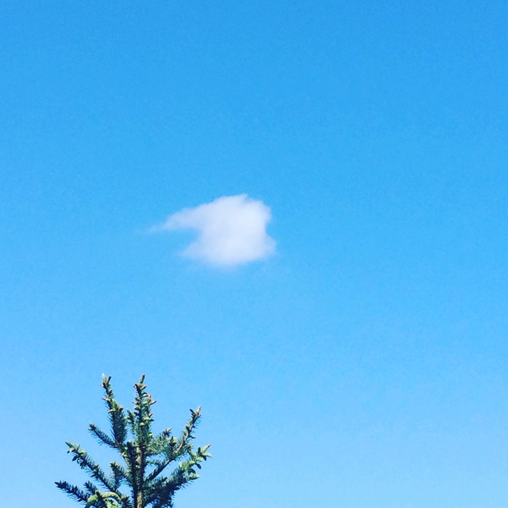 one lonely cloud