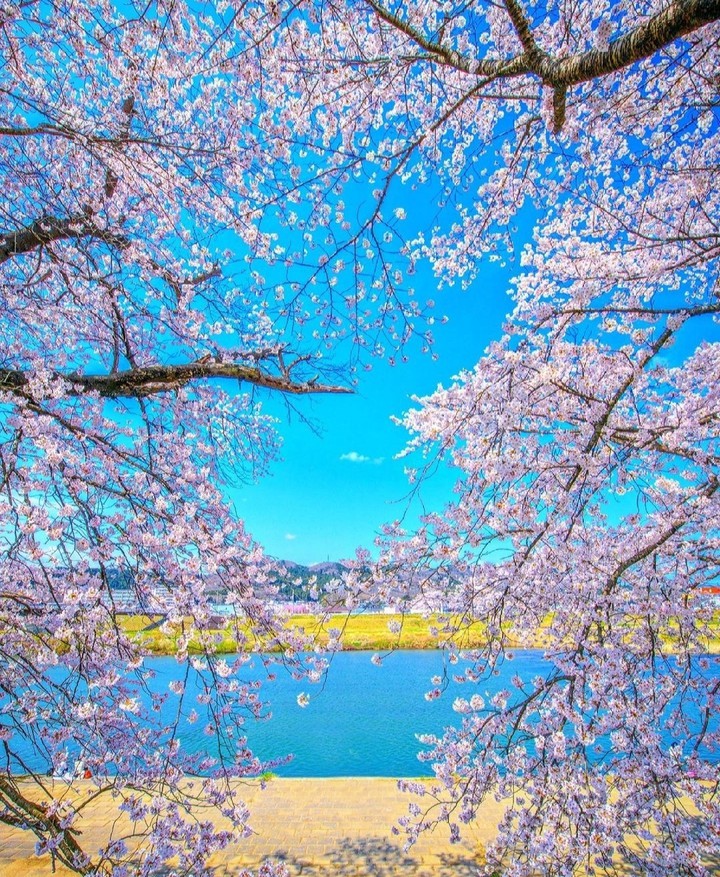 lovely day...