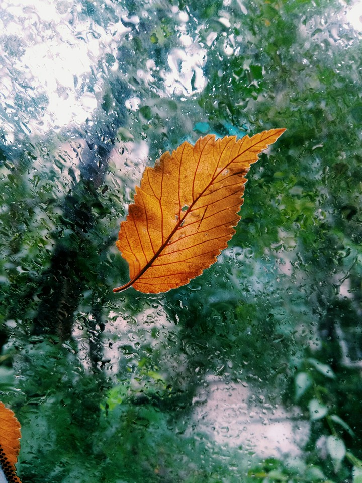 Autumn is coming