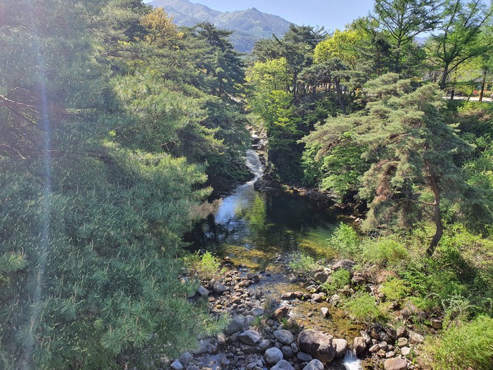 계곡