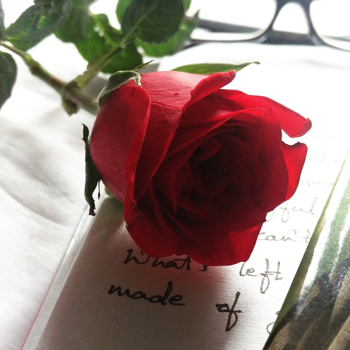 words of a rose