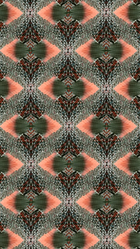 Kaleidoscopes by SexyMugsy