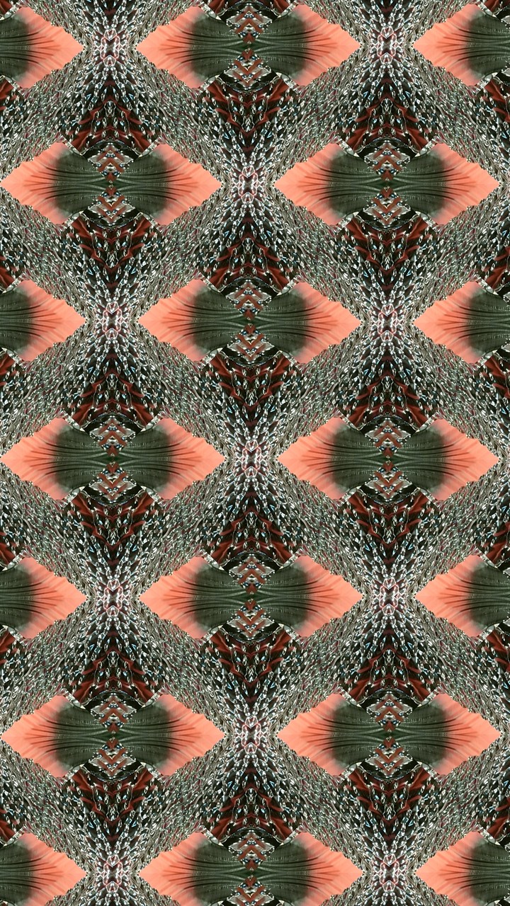 Kaleidoscopes by SexyMugsy