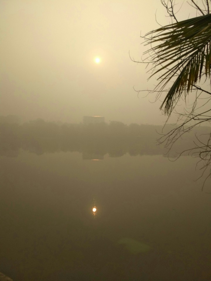Early Morning