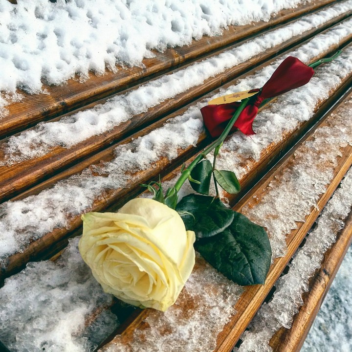 romantic