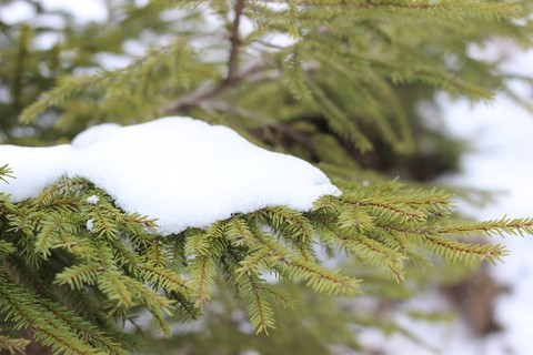 snow