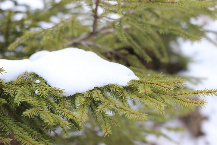 snow