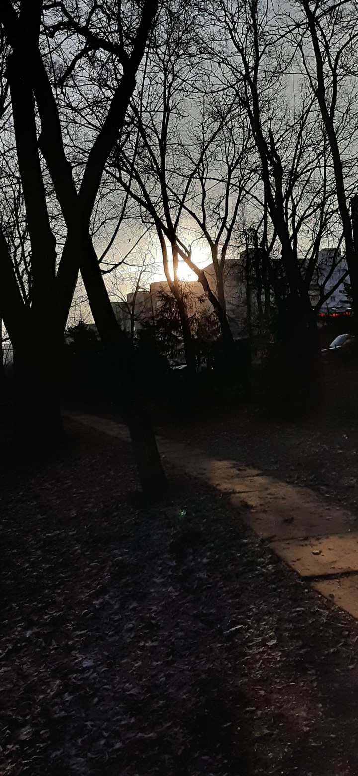 sunrise