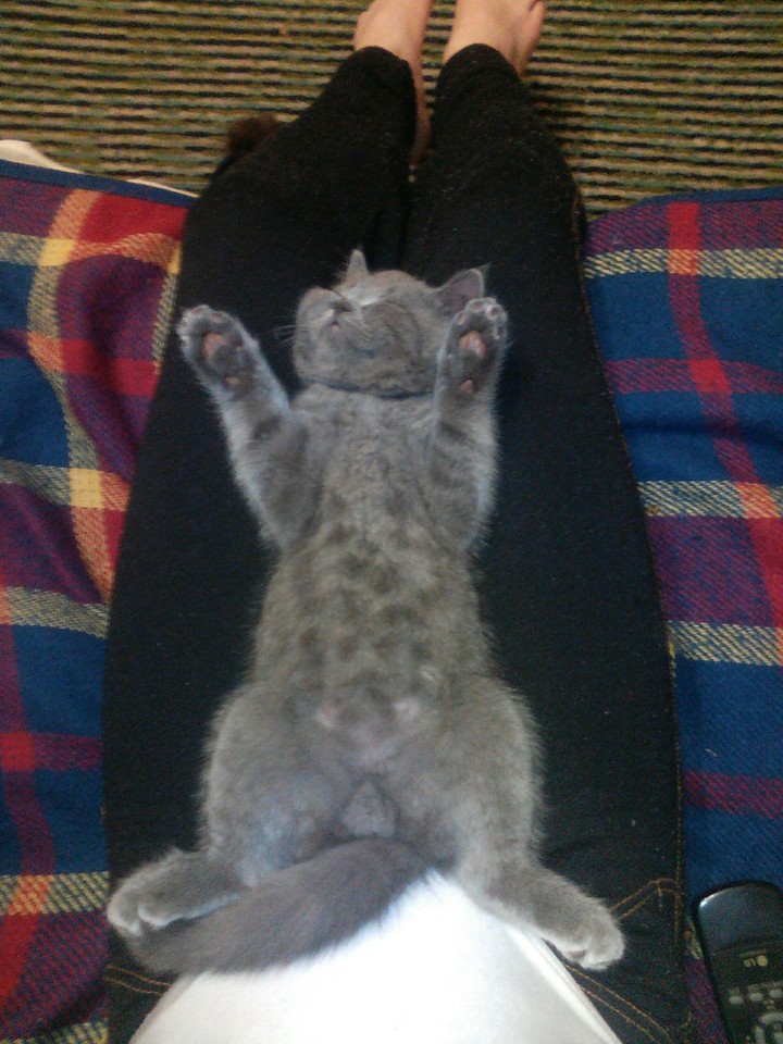 sleep